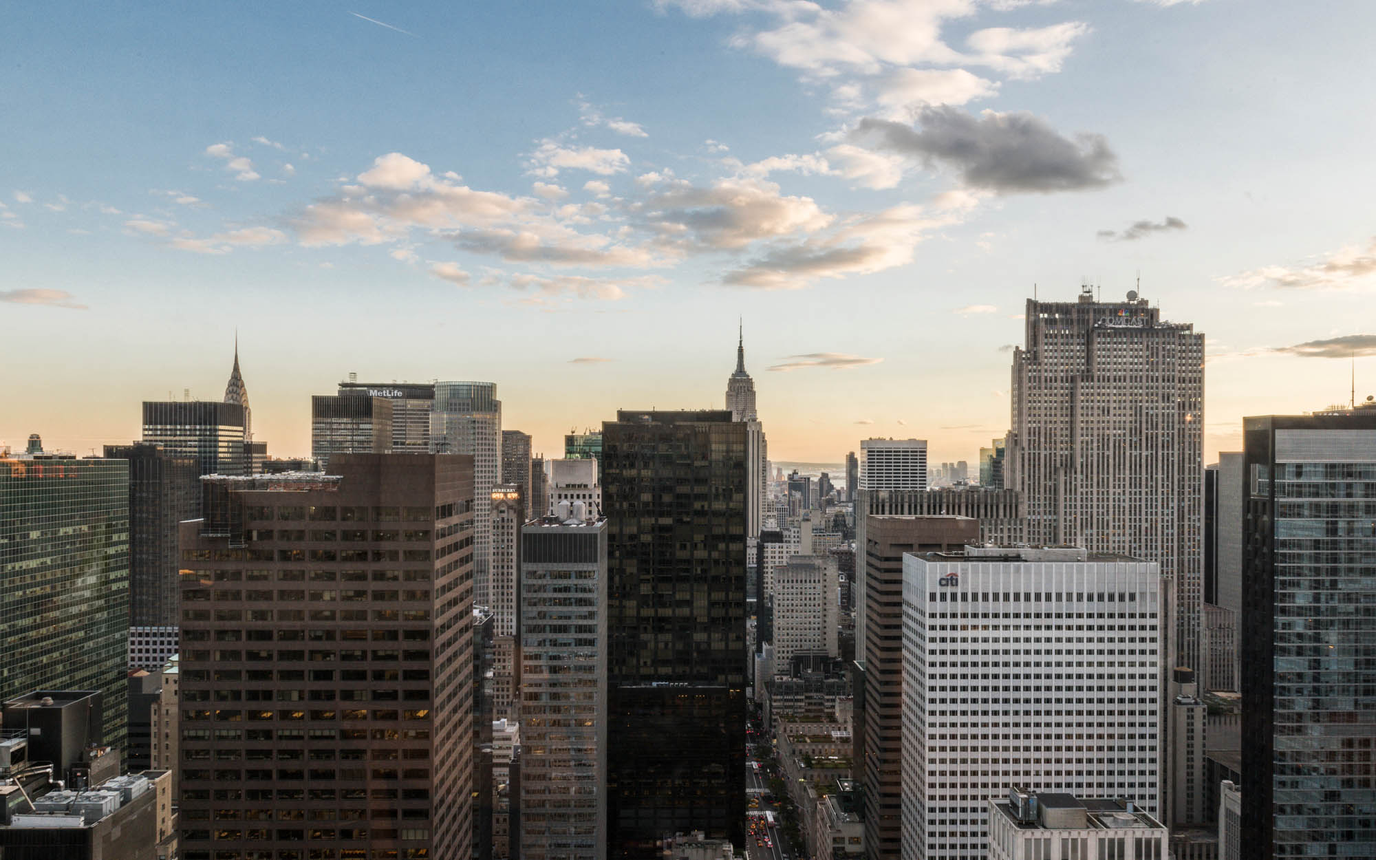 luis_laplace-5th_Avenue_New_York-1