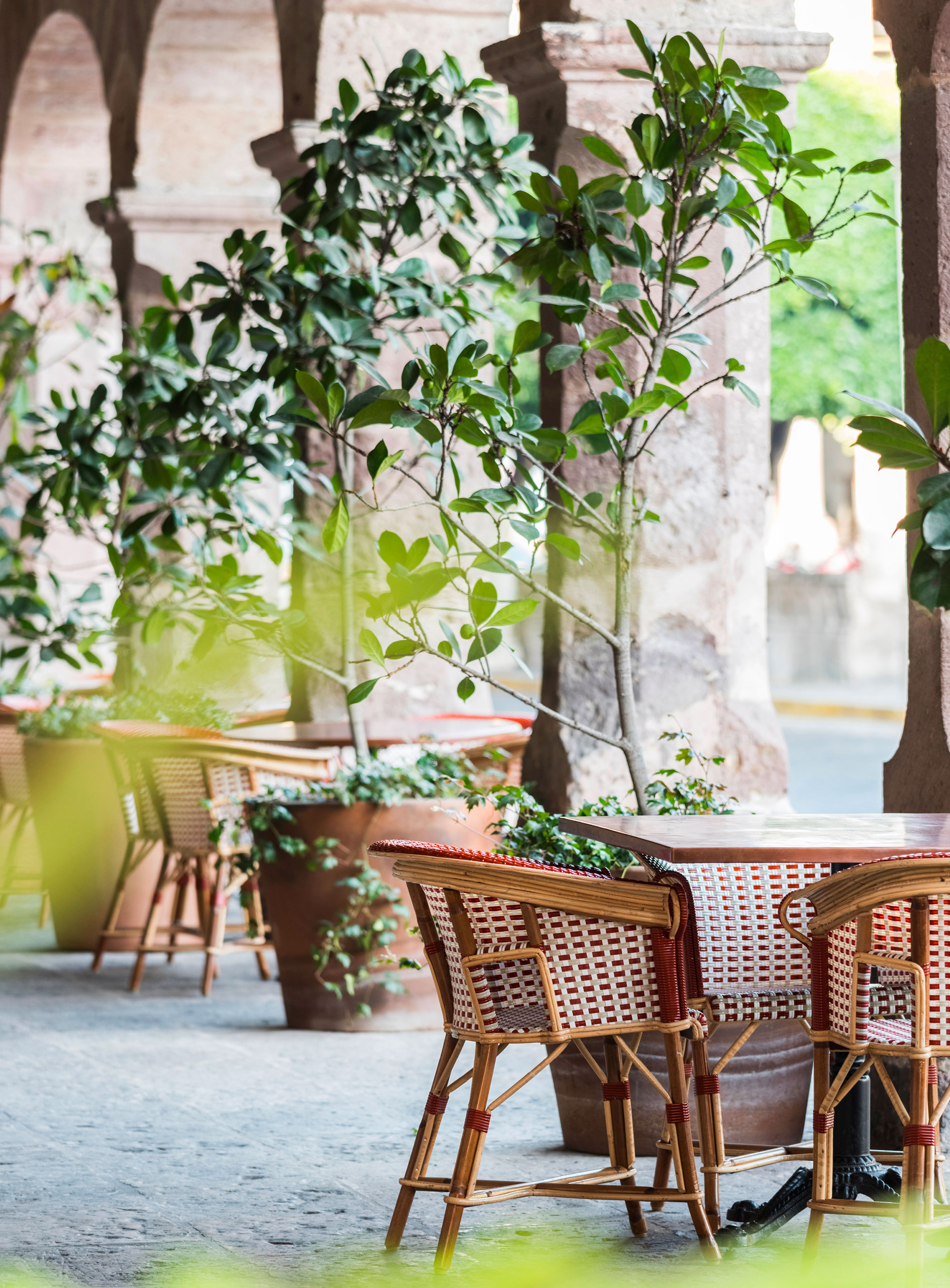 luis_laplace-Cafe_Michelena_Morelia-8