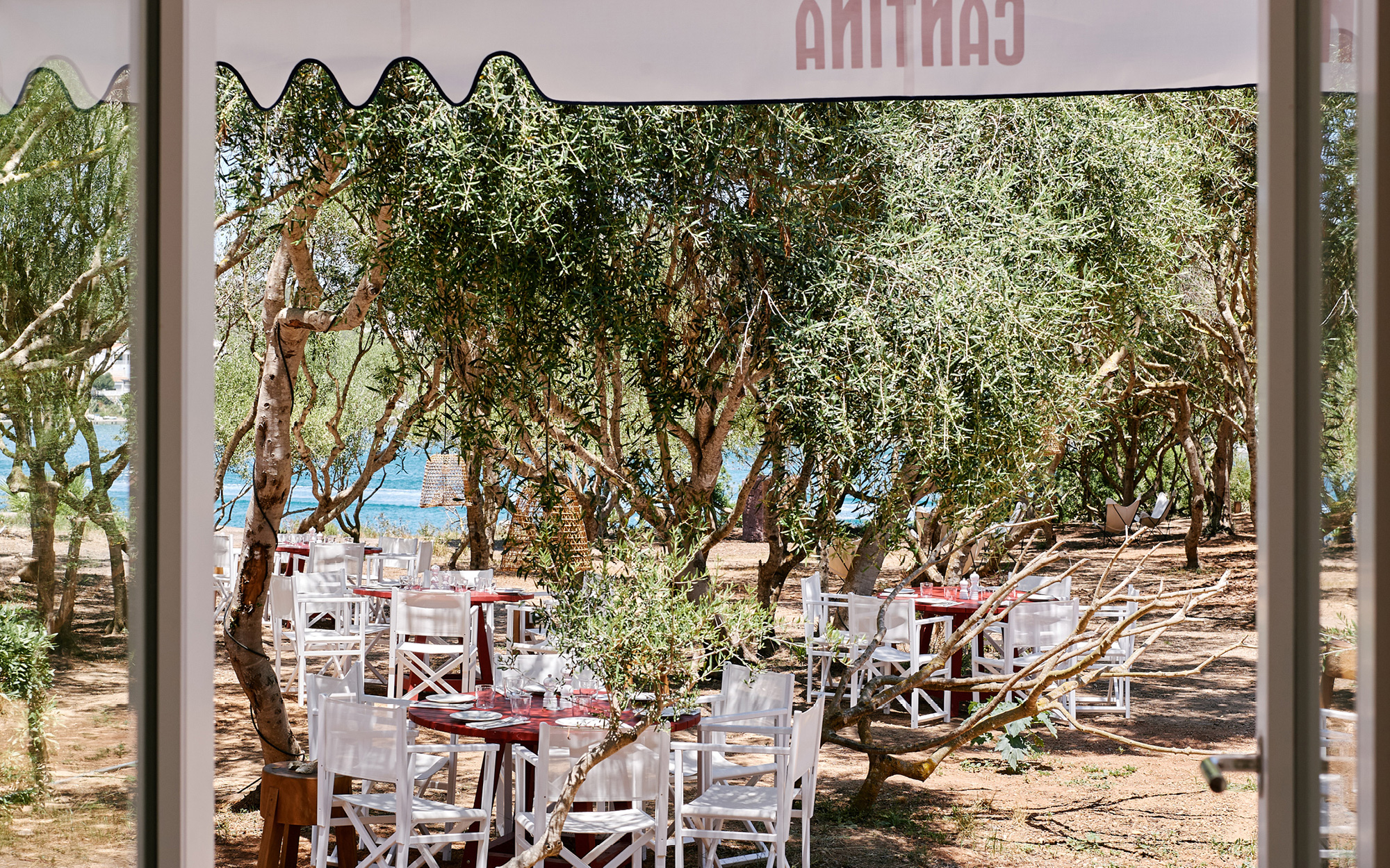 luis laplace cantina 4